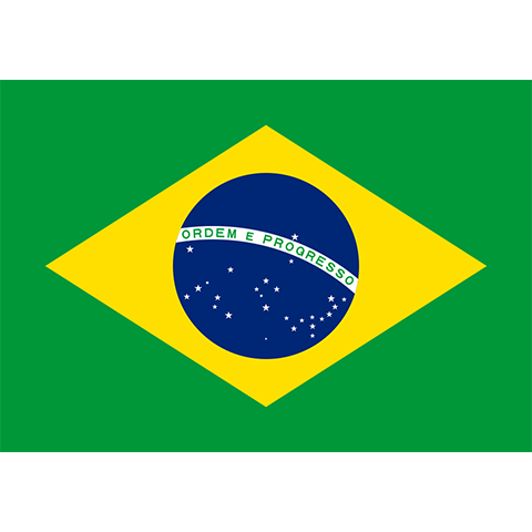 Brazil Flag Preview Thumbnail