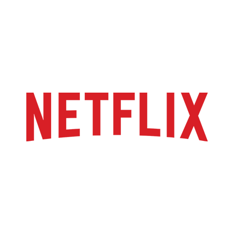 Netflix Logo Preview Thumbnail
